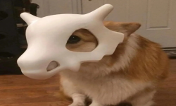 肥宅
